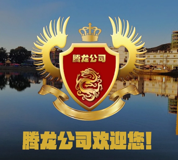 腾龙游戏工作室